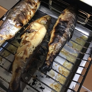 ポン酢醤油でいただく　ニジマスの塩焼き